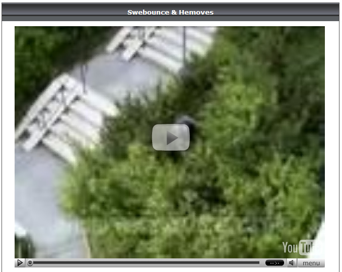 Swebounce & Hemoves