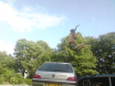 Car Jumping