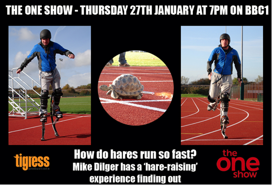 TOMORROW (27th Jan) - The One Show - Hares - 7pm on BBC1