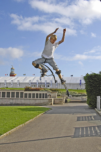 side kick i think?