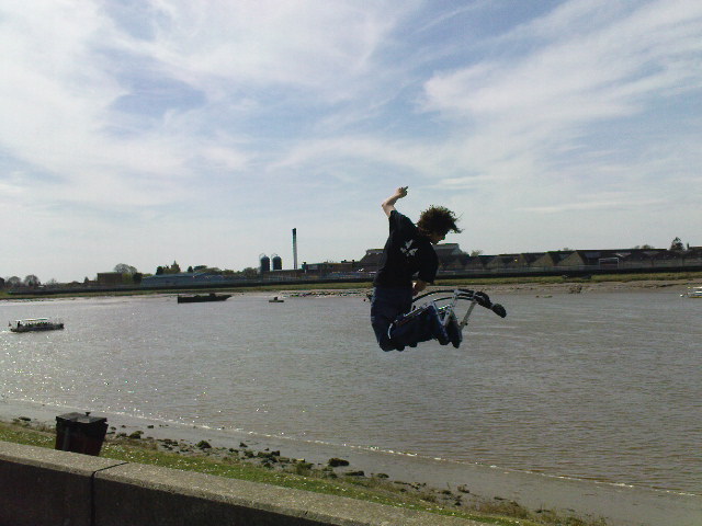 Lynn 11