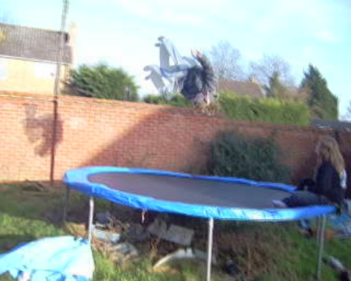 EA's Go trampolining ;)