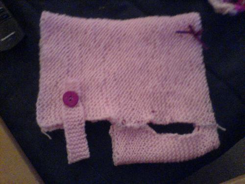 dog coat i made for gregs dog