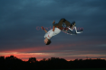 Elton does a Backflip
