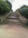 Walton Steps