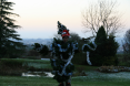 Bocking Christmas Tree